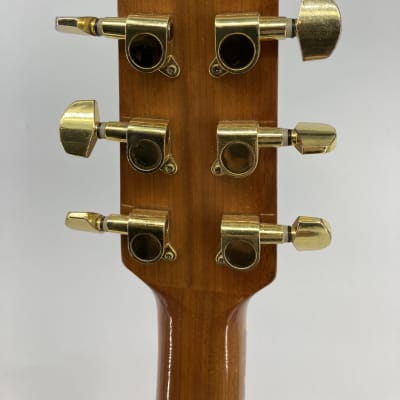 Washburn DK20CET Acoustic Guitar image 9
