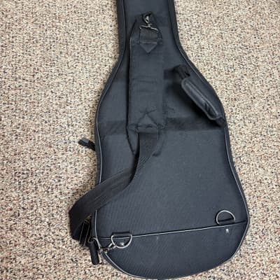 Parker Guitars Gig Bag from my 2000 Fly Classic image 3