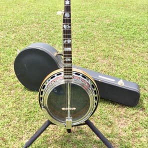 Alvarez whyte eagle banjo outlet