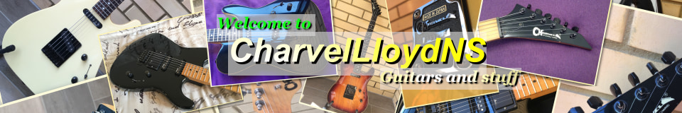 CharvelLloydNS Guitar Store