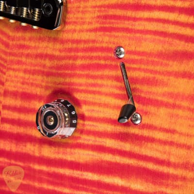 PRS Eddie's Guitars Wood Library Custom 24 Brazilian FB/Rosewood Neck - Blood Orange image 15