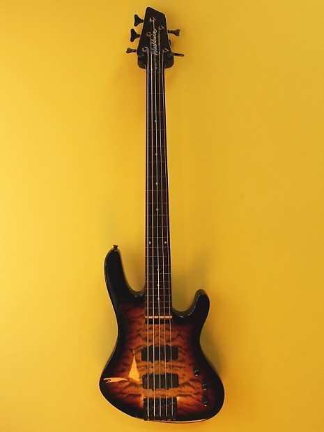 Washburn XB125 Fretless 5 string electric bass guitar Custom