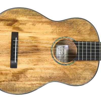 Romero Creation RC-P6-MG Parlor Guitar 