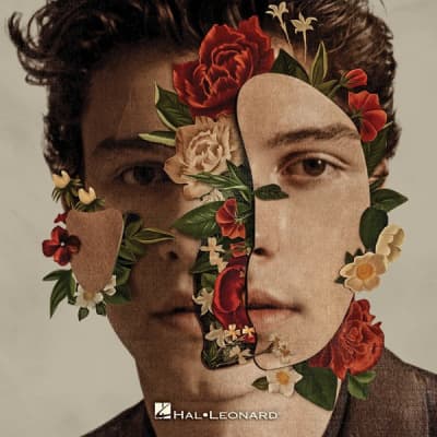 Shawn Mendes Pvg