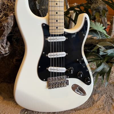 Fender Stratocaster Partscaster Build w/ Hard Shell Case image 2