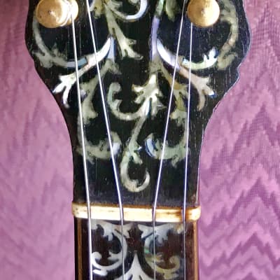 Orpheum #3  Five String Banjo Mahogany Circa 1925 image 4