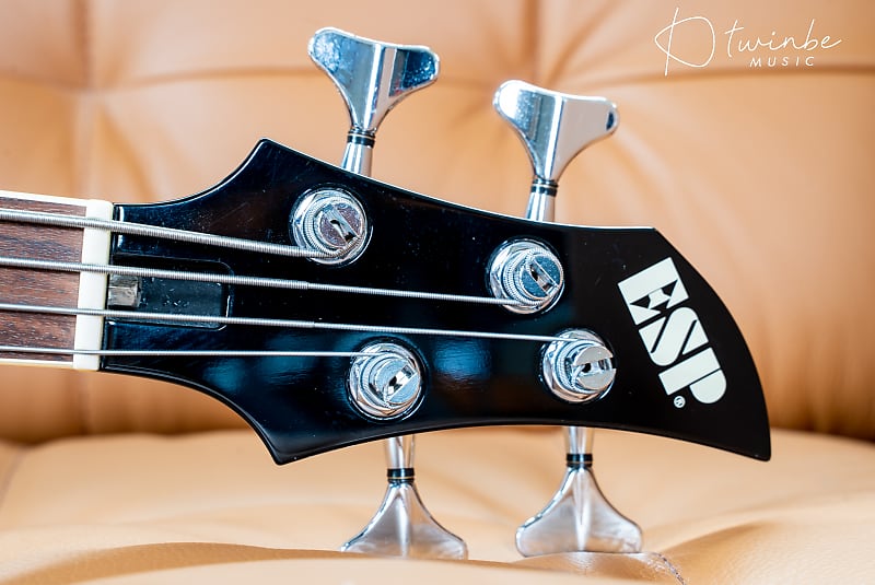 ESP Artist Series RF-00 the GazettE Reita Model Black