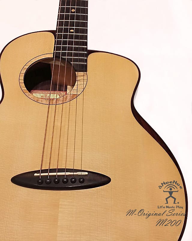 aNueNue M200 Moon Spruce Rosewood Guitar