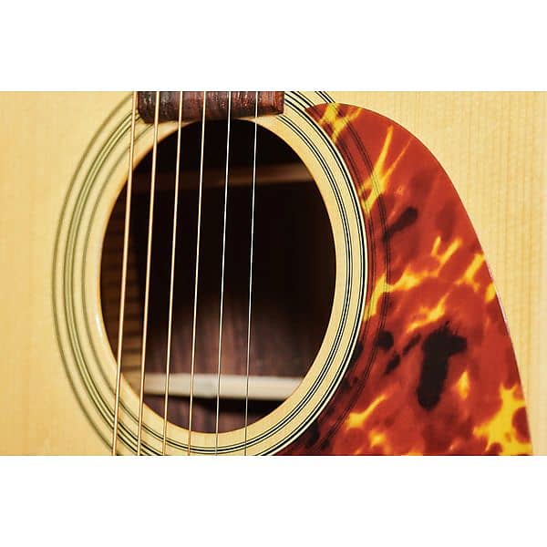 Recording King RD-328 | All-Solid Dreadnaught Guitar w/ Aged