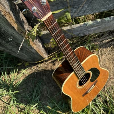 Alvarez Yari Anniversary Model DY-39 1987 - Natural image 4