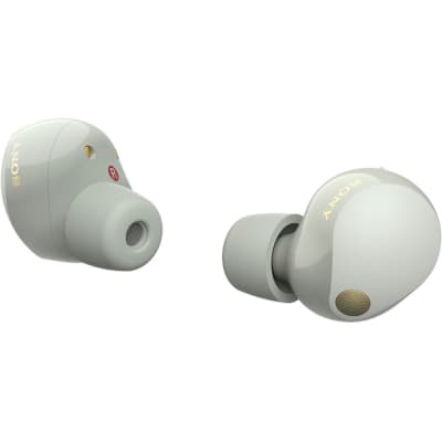 Sony Noise Canceling Truly Wireless Earbuds, Silver + Accessories + Warranty Bundle image 5