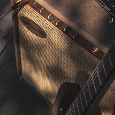 Wolfaardt Sacré Coeur 2022 - Tweed 15 Watts Handwired Dual Fender image 2