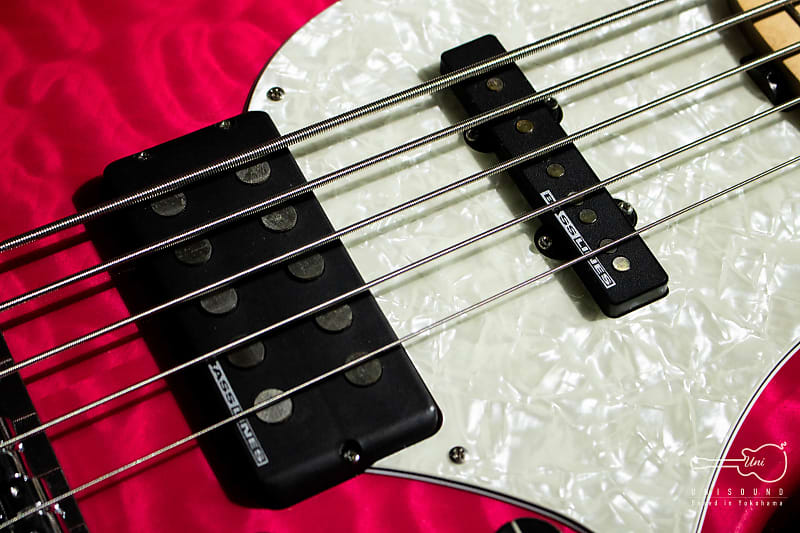 Edwards E-T-170BD L'Arc～en～Ciel tetsuya Model - See Thru