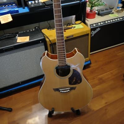 【Wechter Pathmaker 3120】L.R.Baggsピックアップ付 Wechter Pathmaker 3120 acoustic electric guitar with gigbag