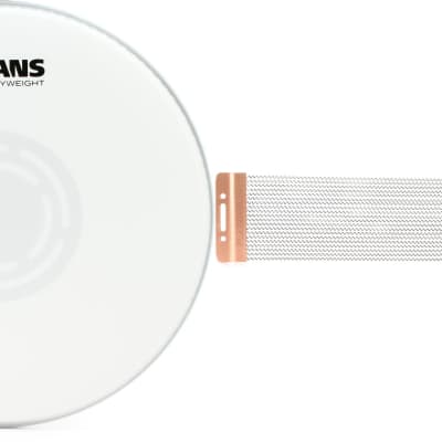 Evans Heavyweight Coated Snare Batter - 12 inch  Bundle with Puresound P1220 12" 20-strand Custom Series Snare Wire image 1