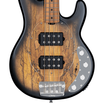 Sterling by Music Man StingRay 5 HH RAY35HH Spalted Maple, Natural Burst Satin image 3