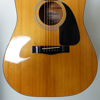 Fender gemini deals acoustic guitar