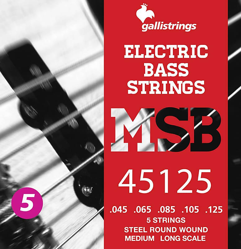 Galli Magic Sound Bass MSB45125 string set electric 5string Reverb