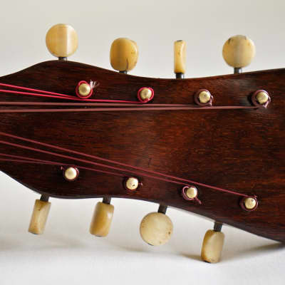 Mandolin - Round back made by Marco Rebora circa early 1900s image 15