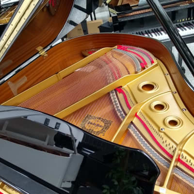 Yamaha Grand Piano G1 5’3 Black Polish image 4