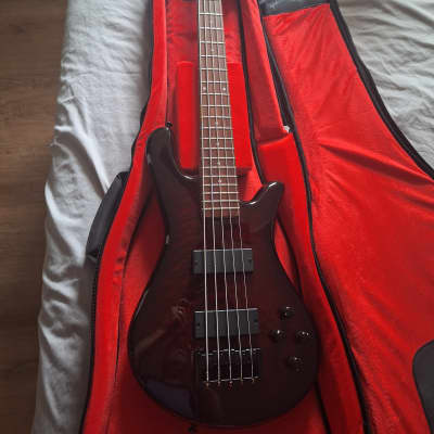 spector legend4 bartolini