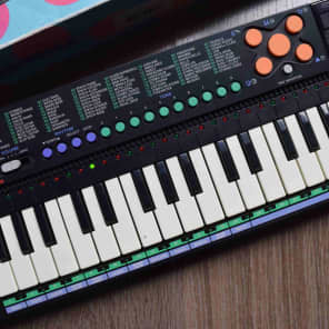 Ms 41 2025 casio price
