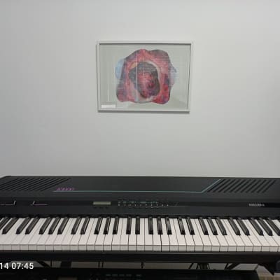 K1000 synthesizer + carry case + pedal