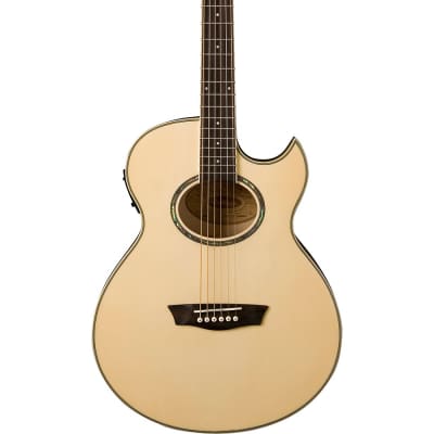 Washburn EA20 Mini Jumbo Acoustic-Electric Guitar for sale