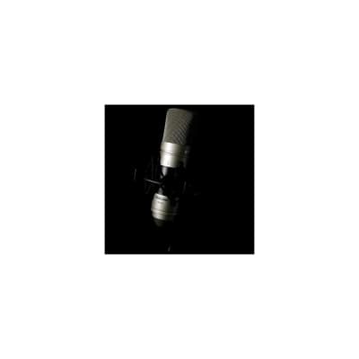 Tascam TM-80 Studio Condenser Microphone image 8