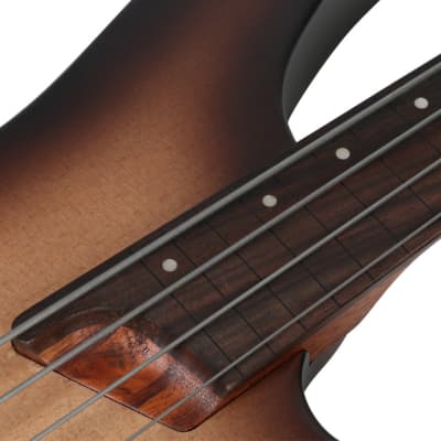 Ibanez SRH500F NFF 4 String Semi-Hollow Fretless Bass W/Piezo | Reverb  Canada