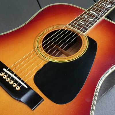 Morris アコースティックギター LF-5 Morris LF-5 Tree of Life acoustic guitar in sunburst Japan