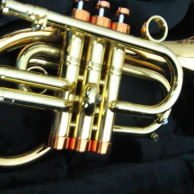 Taylor / Carolbrass Phat Puppy Pocket Flugelhorn | Reverb