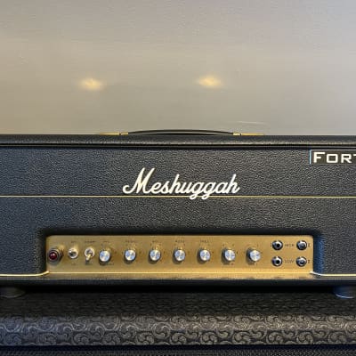Fortin Amplification Meshuggah #11 for sale
