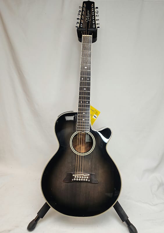 Takamine 12弦ギター　ハードケース付　NPT110-12 高額買取実施中!!】TAKAMINE タカミネ 12弦ギター エレアコ