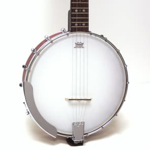 Fender rustler 6 string banjo sale