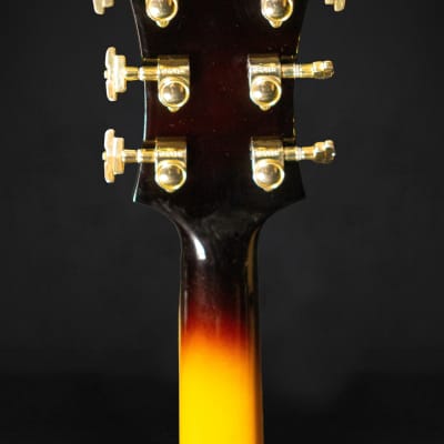 Peerless Monarch Hollow Body (Pre-Owned) image 6