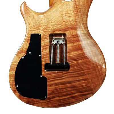 10S Custom Spring BH - 5A Quilt Maple/Figured Mahogany Electric Guitar 2018 Aquamarine Burst image 4