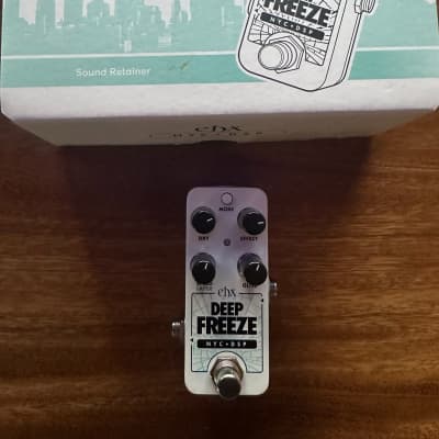 Electro-Harmonix Pico Deep Freeze Sound Retainer | Reverb