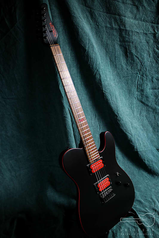 Schecter PA-SM SH [SiM SHOW-HATE Model] 2019 Made in Japan