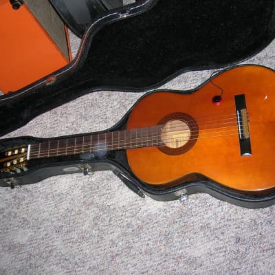 Guitarra Clásica Vicente Tatay C320.202 + funda 10mm