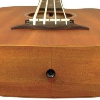 Gold Tone M-BASS Micro Bass 36" Electric Acoustic Bass Guitar with Gig Bag image 3
