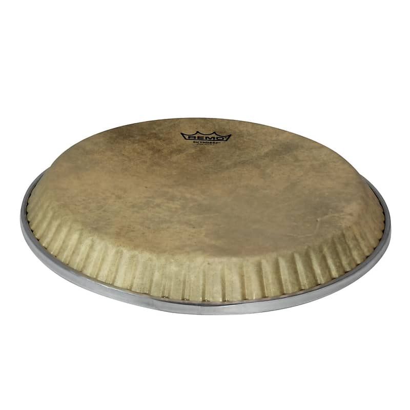 Remo Symmetry Low Collar Skyndeep Calfskin 11" D2 Conga Drum Reverb