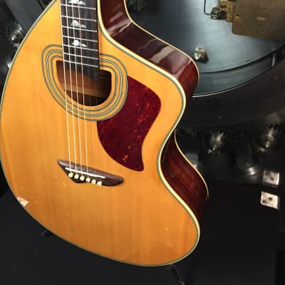 Jay Turser JTA-CRA-6S NG Acoustic Guitar | Reverb