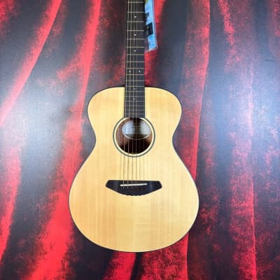 Breedlove deals passport dreadnought