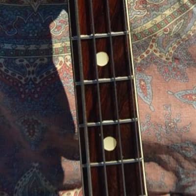 Wandre Davoli Polyphon Bass 1964 image 2