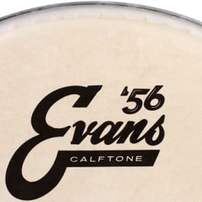 Evans Calftone Drumhead - 8 inch image 2