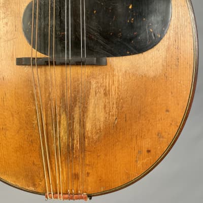 Weymann Style 12 Mando-lute Mandolin 1925 image 13