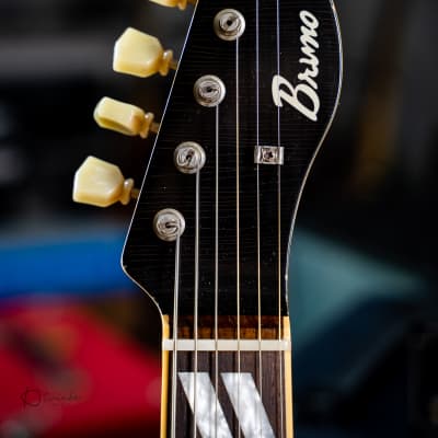 bruno ささえ guitars TN-295 Pelham Blue