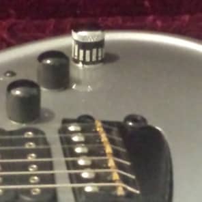 Parker Adrian Belew Signature Fly (Not DF842)  Arctic Silver Guitar/ SUPER rare BEAUTY image 5