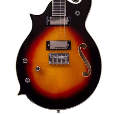 Eastwood MRG LH Tone Chambered Mahogany Body Maple Top 4-String Tenor Electric Guitar w/Bag - Lefty image 3